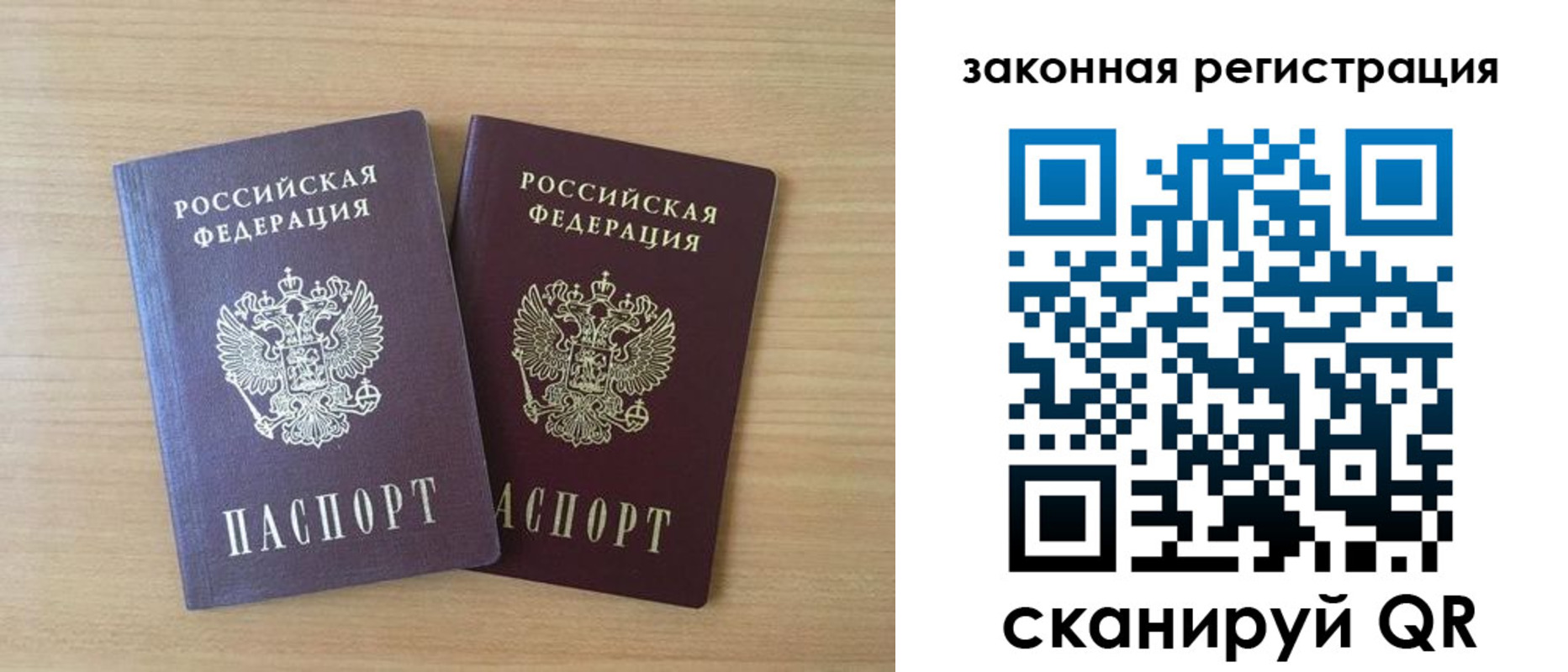 купить прописку в Димитровграде