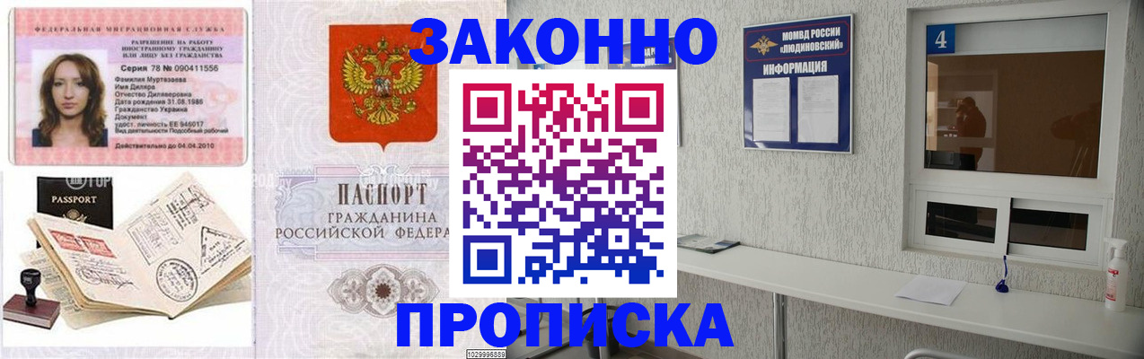 прописка в квартире в Димитровграде